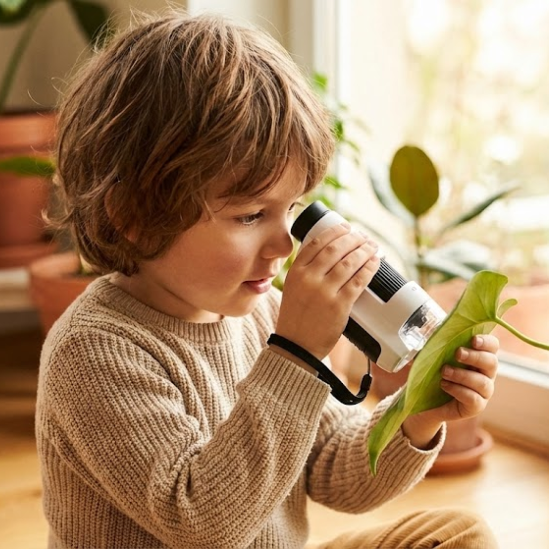 Ce qui vous attend avec Les Petits Chercheurs
